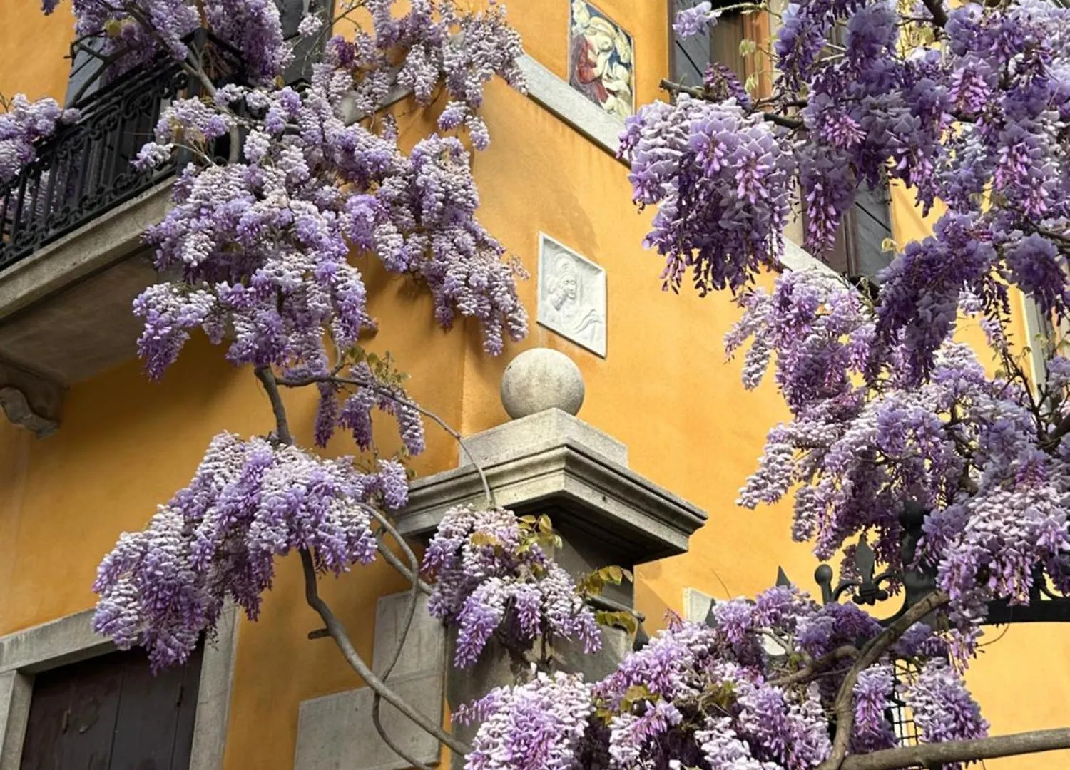 Guest house Carbonaia Venezia Hotel Italy