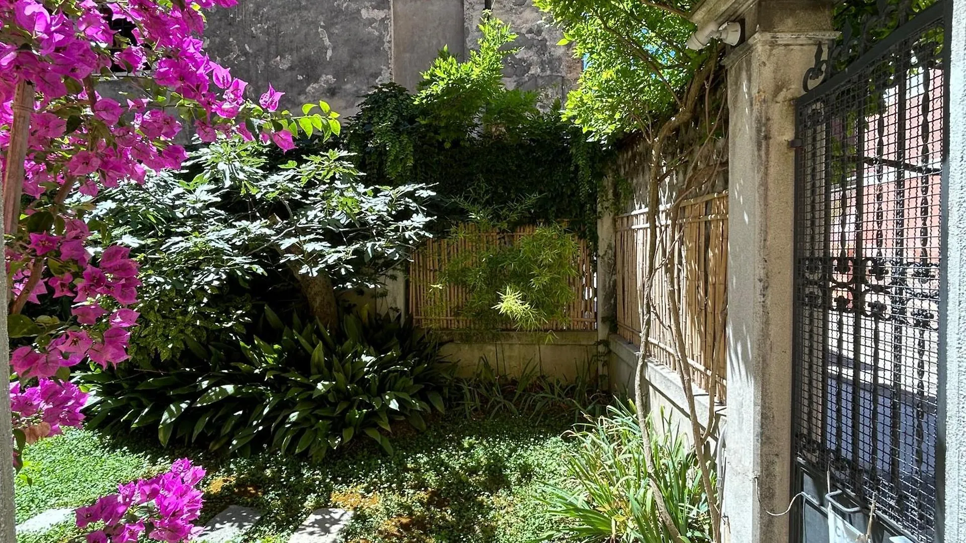 Carbonaia Venezia location